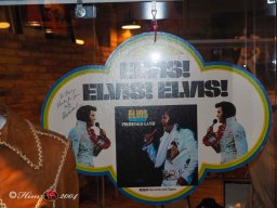 Elvis Ausstellung im 48er